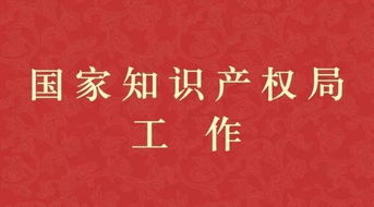 国家知识产权局组织开展2019年知识产权系统执法保护专项行动